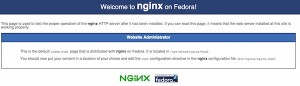 nginx Startseite